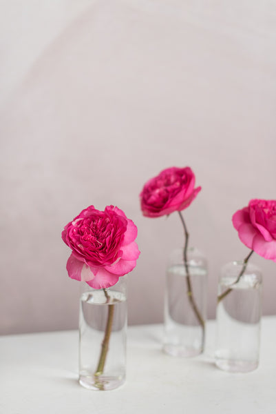 Cosmo-Web-16_grande.jpg?v=