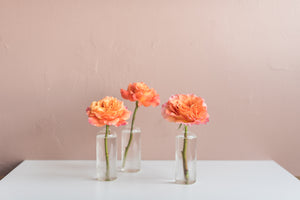 Citrus Rose Bud Vase Set