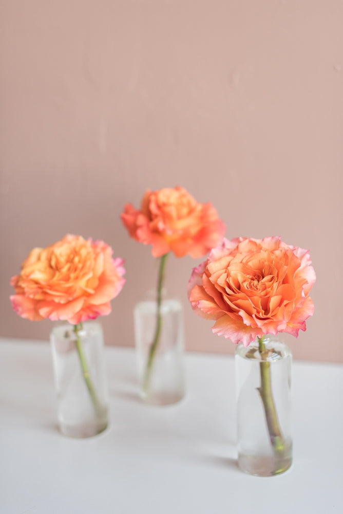 Citrus Rose Bud Vase Set