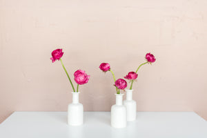Cosmo Ranunculus Bud Vase Set