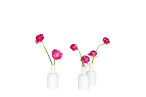 Cosmo Ranunculus Bud Vase Set