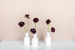 Midnight Ranunculus Bud Vase Set