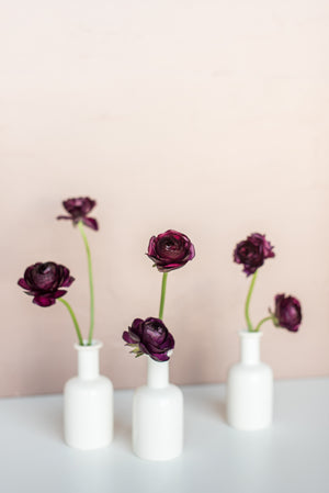 Midnight Ranunculus Bud Vase Set