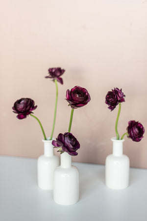 Midnight Ranunculus Bud Vase Set