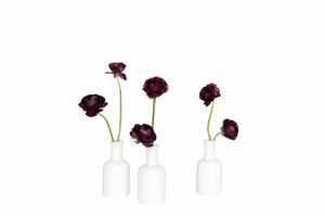 Midnight Ranunculus Bud Vase Set