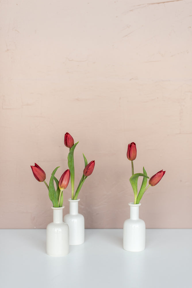 Velvet Tulip Bud Vase Set