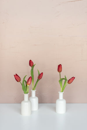 Velvet Tulip Bud Vase Set