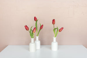 Velvet Tulip Bud Vase Set