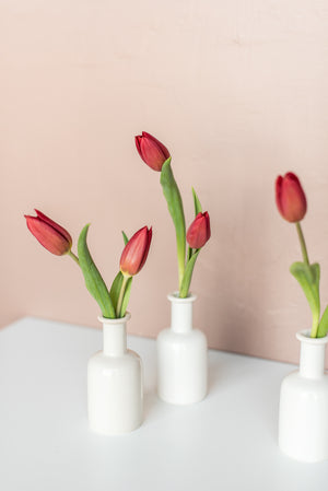 Velvet Tulip Bud Vase Set