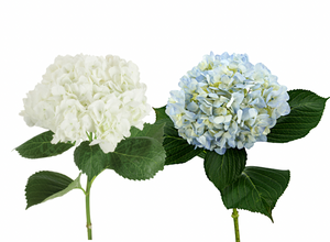 Estate Centerpiece