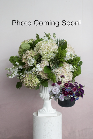 Midnight Statement Arrangement