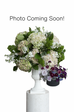 Midnight Statement Arrangement