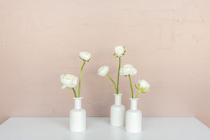 Pearl Ranunculus Bud Vase Set