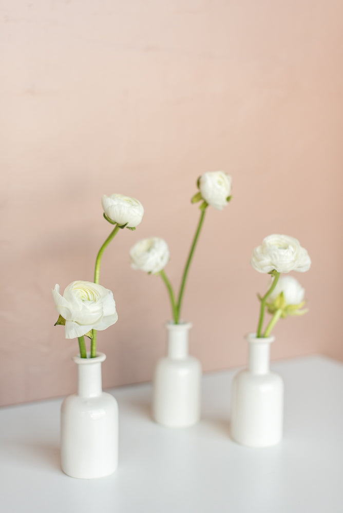 Pearl Ranunculus Bud Vase Set