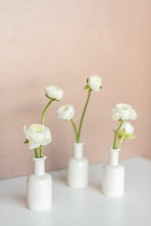 Pearl Ranunculus Bud Vase Set