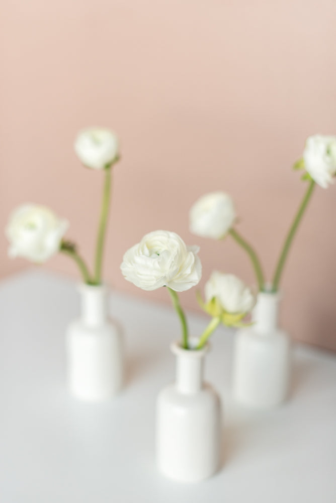 Pearl Ranunculus Bud Vase Set