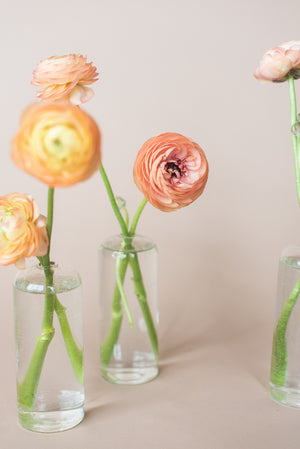 Sherbet Bud Vase Set