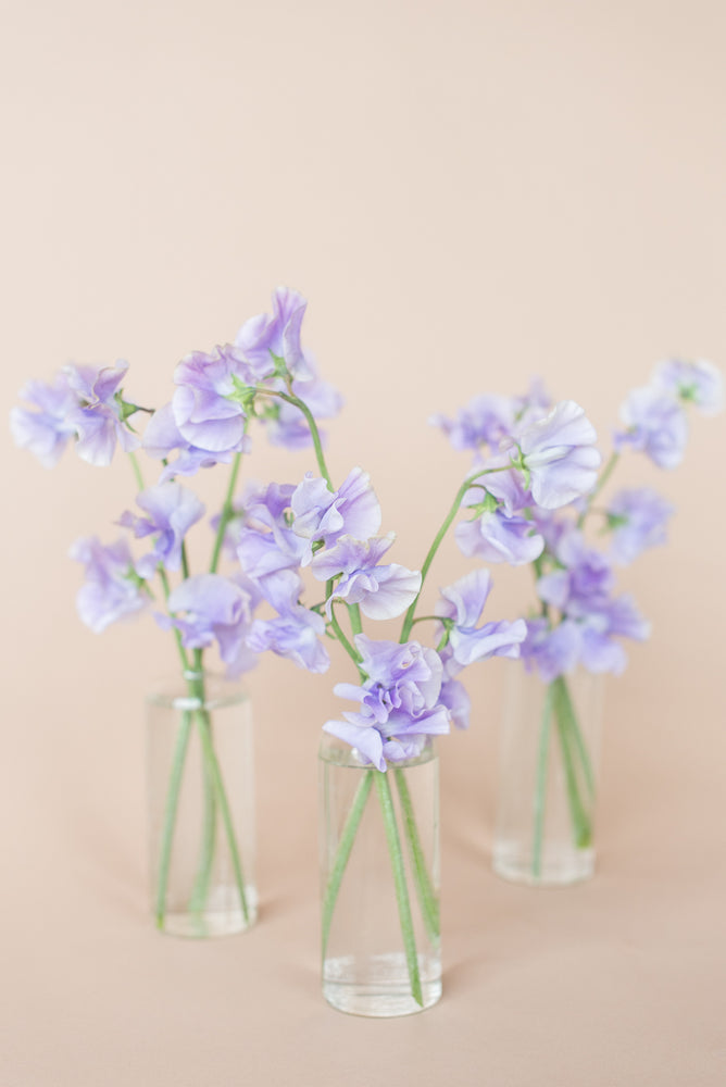 lavender flower vase Opal Lavender Bud Vase Set – Simply Sweet Root