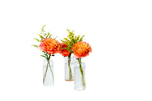 Citrus Bud Vase Set