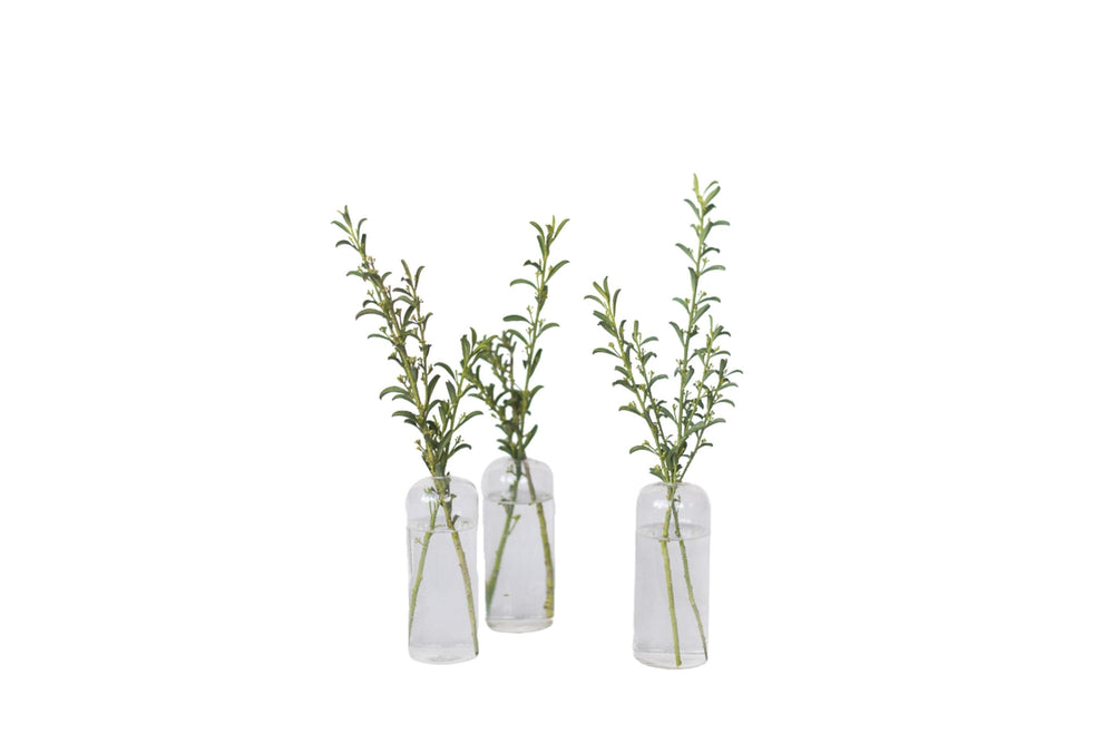 Evergreen Bud Vase Set