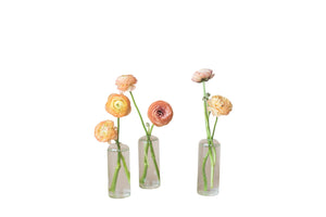 Sherbet Bud Vase Set