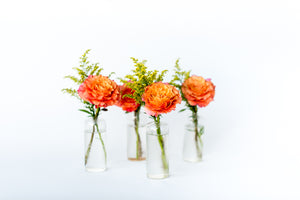 Citrus Bud Vase Set